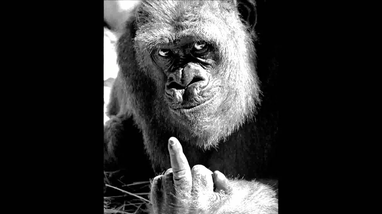 Центральное изображение